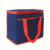 Bolsa Térmica 36 Litros Personalizada - Image 8