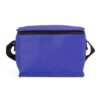Bolsa Térmica 4 Litros Para Brindes Promocionais - Image 2