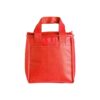 Bolsa Térmica 5 Litros Para Brindes - Image 6