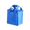 Bolsa Térmica 5 Litros Para Brindes - Image 7