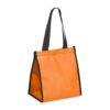Bolsa Térmica 6 Litros Para Personalização - Image 8