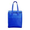 Bolsa Térmica 9 Litros Para Brindes Personalizados - Image 2
