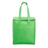 Bolsa Térmica 9 Litros Para Brindes Personalizados - Image 5
