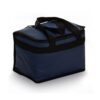 Bolsa Térmica Personalizada 13 Litros - Image 3