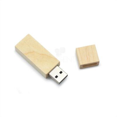 Pen Drive